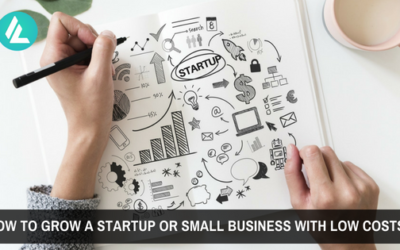 How to Grow a Startup or Small Business With Low Costs?