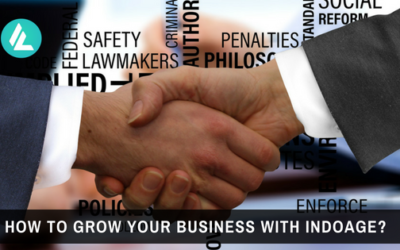 How To Grow Your Business With IndoAge?
