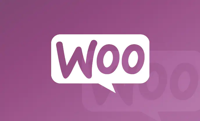 woocommerce web design